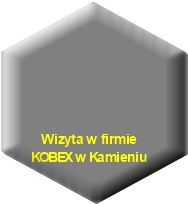 Wizyta w firmie KOBEX w Kamieniu